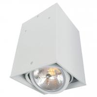 Потолочный светильник Arte Lamp Cardani