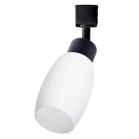 Трековый светильник Arte Lamp Miia