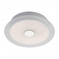 Потолочный светодиодный светильник ST Luce SL471