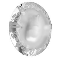 Настенный светильник Arte Lamp Leaves