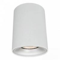 Потолочный светильник Arte Lamp Torre