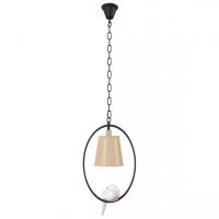 Подвесной светильник Loft IT Loft1029