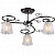 Потолочная люстра Silver Light Loche